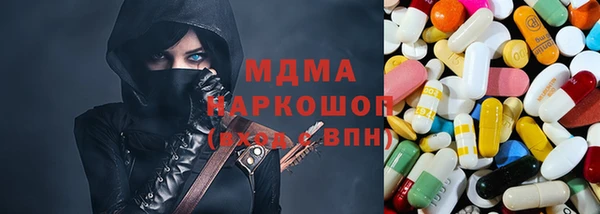 МДПВ Бородино