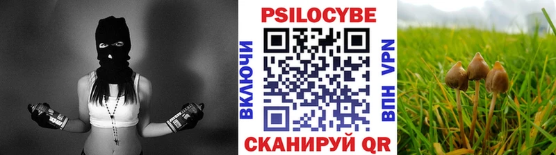 закладка  Домодедово  Галлюциногенные грибы мухоморы 